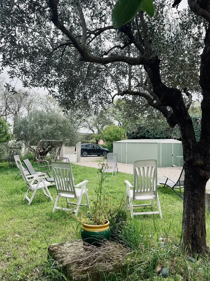 Shady garden under the olive trees