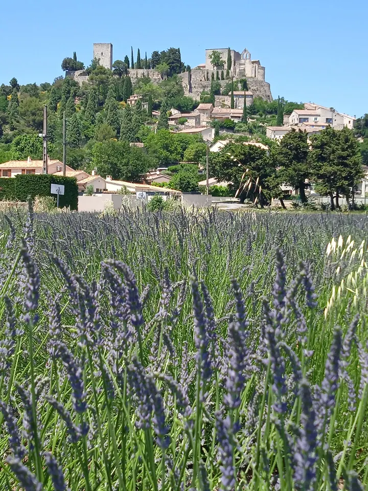 Lavender field in front of the village of Roussas